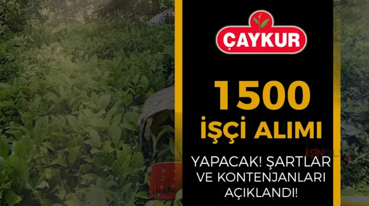 Çaykur 1500 mevsimlik işçi alacak
