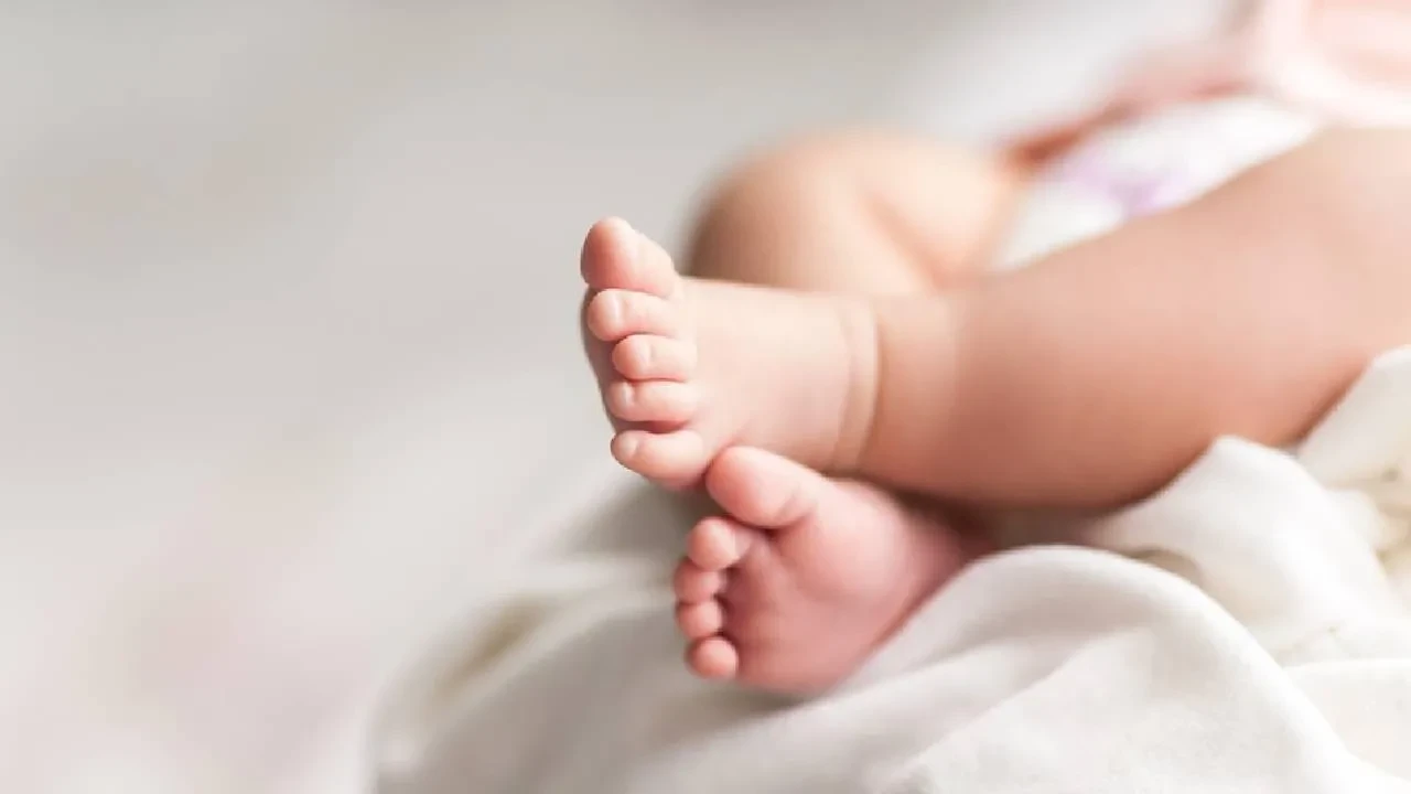 Doğum yardımı başvuruları başladı