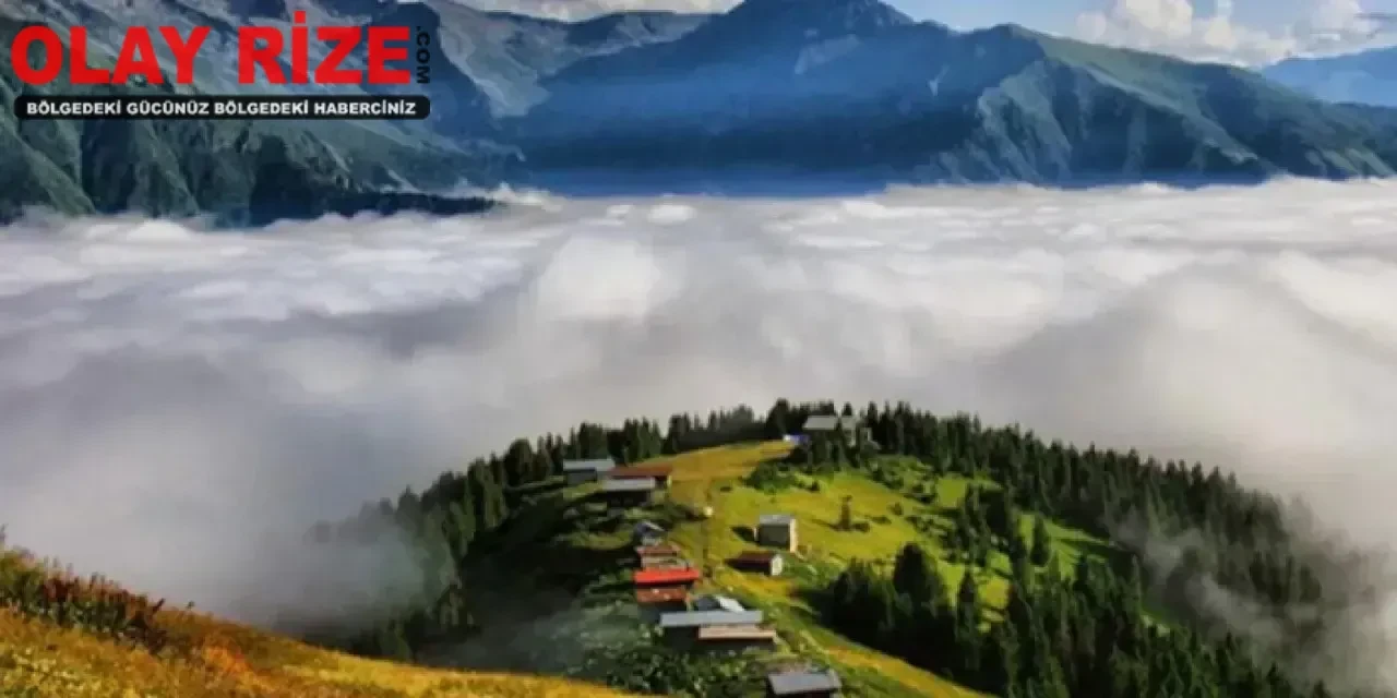 Pokut yaylası nerededir? Pokut yaylasına nasıl gidilir?