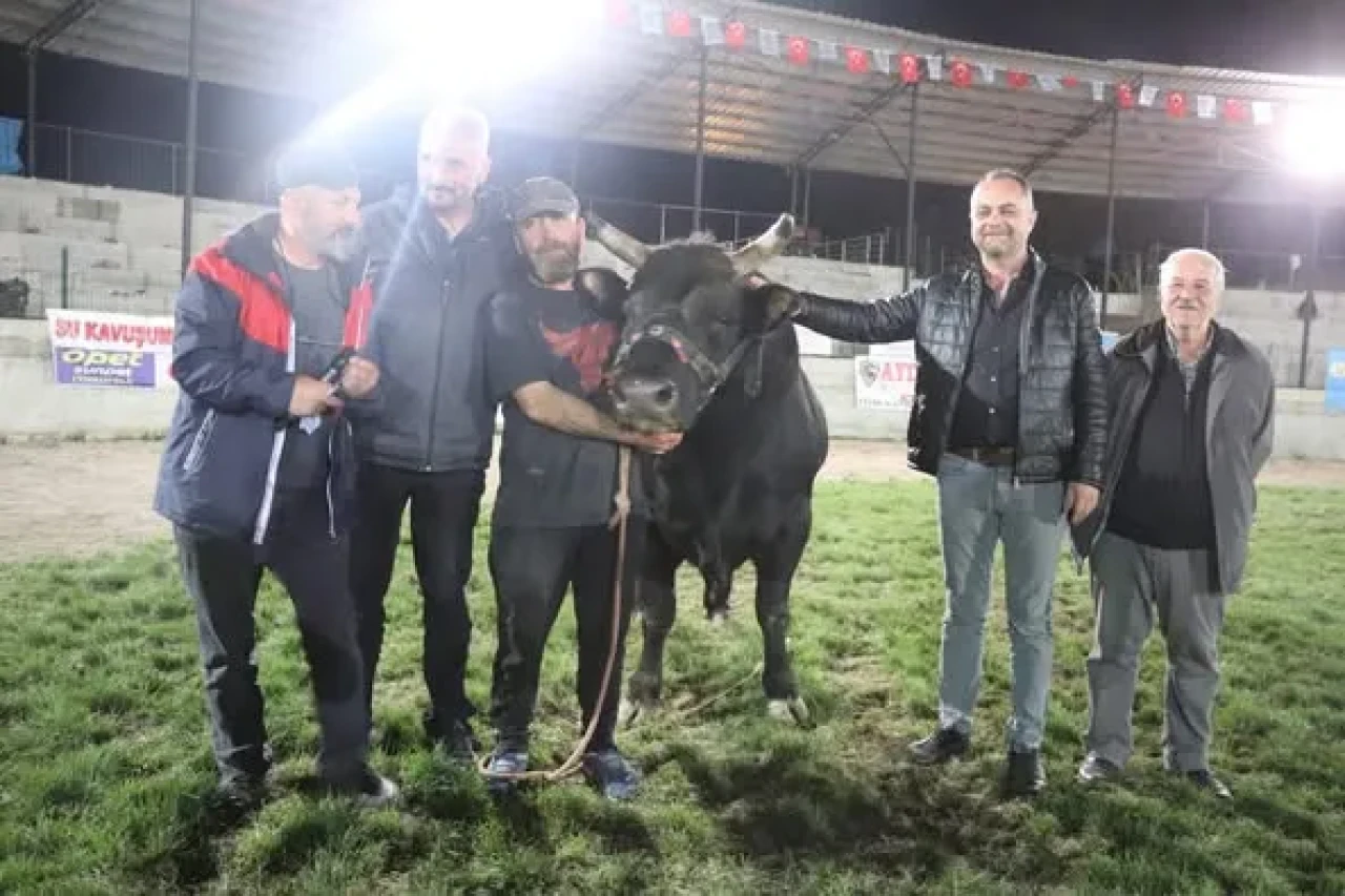 Yusufeli'nde Derekapı Boğa Güreşleri Festivali'nde "Meraların Efendisi" unvanı Raşit İspirli'nin boğasına gitti!