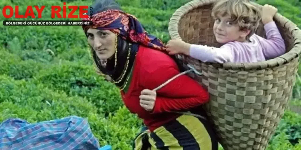 Asıl Lazlar nerelidir? Kökleri ve Kültürel Miras