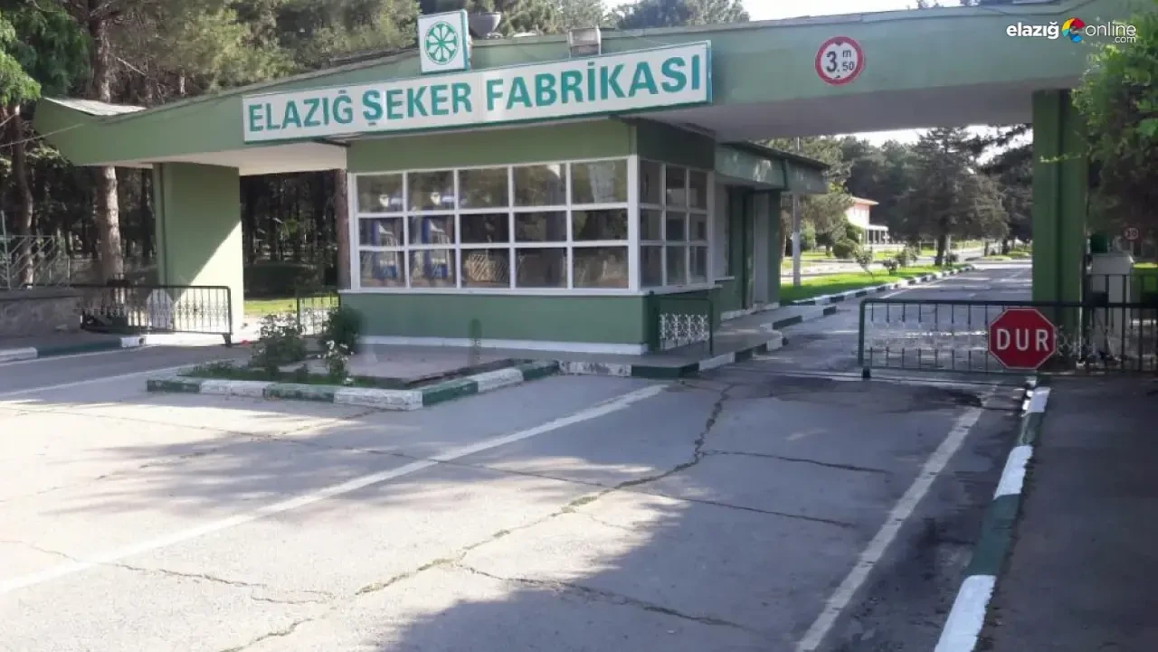 Türk Şeker 2025 Elazığ Kura Sonuçları 29 Mayıs'ta Açıklanacak, 45 İşçi Alınacak
