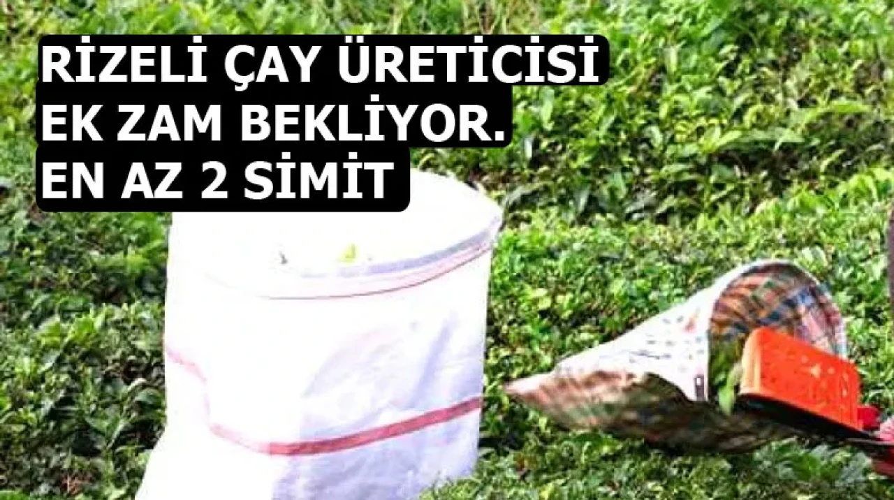 RİZELİ ÇAY ÜRETİCİSİ EK ZAM BEKLİYOR. EN AZ 2 SİMİT