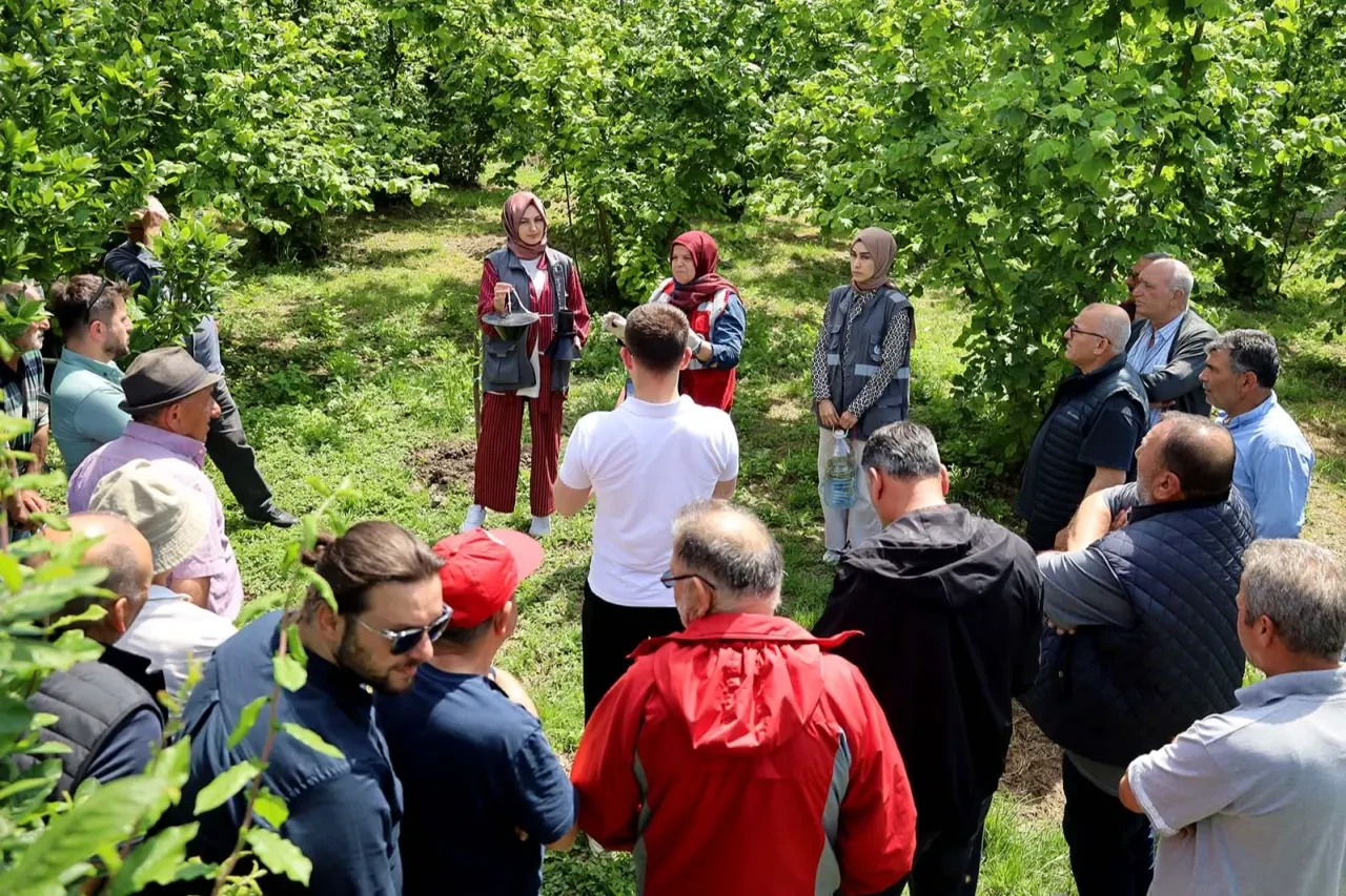 Sakarya'da çiftçilere ücretsiz feromon tuzağı dağıtılıyor, kokarca ile mücadelede önemli adım atıldı