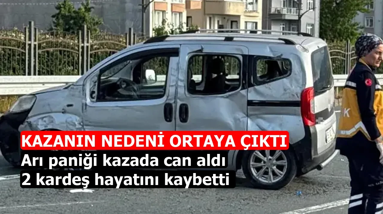 Arı paniği kazada can aldı: 2 kardeş hayatını kaybetti