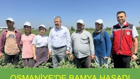 Osmaniye'de 2025 bamya hasat sezonu başladı, üreticilere moral verildi!