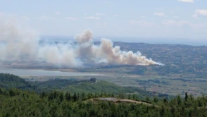 Kahramanmaraş'ta kuvvetli rüzgar yangını büyütüyor, ekipler karadan müdahale ediyor