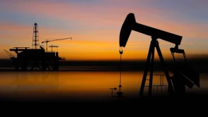 Küresel petrol talebi 2023'te artış gösterdi, OPEC+ etkisi belirginleşti