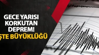 Van’da gece yarısı korkutan deprem! İşte büyüklüğü