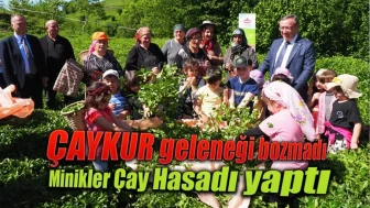 ÇAYKUR geleneği bozmadı Minikler Çay Hasadı yaptı