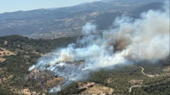 Balıkesir'de yangın ormana sıçradı, müdahale sürüyor!
