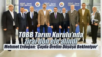 Zirai don Türkiye tarımında büyük kayıplara yol açtı, çözüm önerileri masaya yatırıldı