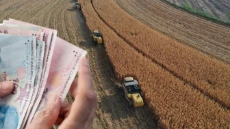Çiftçilere 5,5 milyar lira destekleme ödemesi bugün hesaplara aktarılıyor