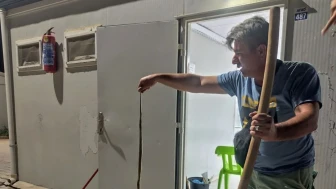 Konteynere giren yılan paniğe neden oldu