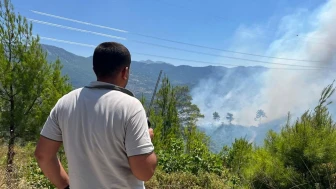 Alanya'da orman yangınına havadan ve karadan yoğun müdahale sürüyor