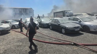 Gebze'de ot yangını, 10 araç zarar gördü! İtfaiye ekipleri hızlıca müdahale etti.