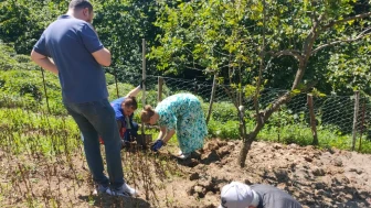 Sürmene’de Salep Hasadı Başladı: Deneme Bahçelerinde İlk Ürün Alındı