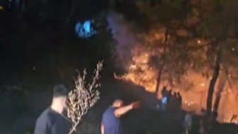 Samandağ'da Orman Yangını Hızla Kontrol Altına Alındı