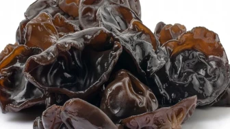 Dünyanın en pahalı mantarı Matsutake, Polonya ormanlarında yeniden keşfedildi.