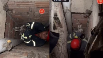 Kahramanmaraş'ta Yavru Kedi Kurtarma Operasyonu Mahalleyi Sevindirdi