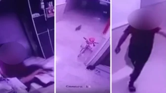 Hamile kediyi fırlatan apartman sakini hakkında suç duyurusu!