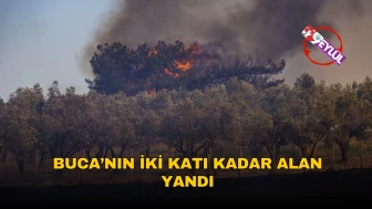 İzmir'de orman yangınları 26 bin hektar alanı yok etti, 3000'den fazla müdahale gerçekleştirildi.