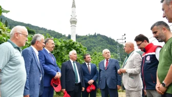 Trabzon'da Modern Fındık Bahçesiyle Verim Artışı Sağlandı