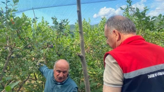 Köprübaşı'nda Tarım Heyeti Üreticileri Desteklemek İçin İncelemelerde Bulundu