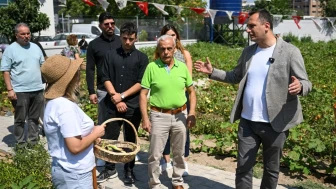 Kent Bostanları Projesi'nin İlk Hasadı Kadınların Coşkusuna Sahne Oldu