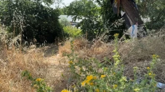 Avcılar'da kayıp A.K.'nin cesedi boş arazide bulundu, soruşturma başlatıldı