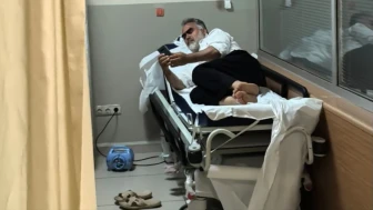 Bursa'da tarım işçisi yılanı ısırıldı, hastaneden iyi haber geldi