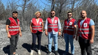 İzmir'deki Orman Yangınına Zafer Partisi'nden Destek ve Sabotaj İddiası