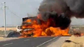 Ceylanpınar'da seyir halindeki TIR yangınında araç tamamen yandı, inceleme başlatıldı