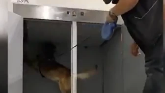 Bakanlık uyuşturucu operasyonlarında 665 kg esrar ve 344 kg metamfetamin ele geçirdi