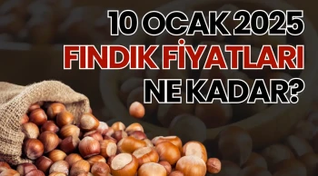 10 Ocak 2025 Fındık Fiyatları Ne Kadar?