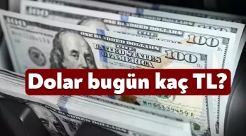 Döviz Kurları Bugün Ne Durumda? Dolar ve Euro'nun TL Karşısındaki Değeri Nedir? (30 Mayıs 2025)