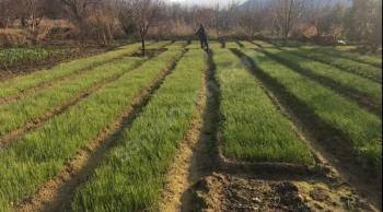 Erdek’te Yatırıma Uygun İmarlı Arazi – Sadece 2 Milyon TL!