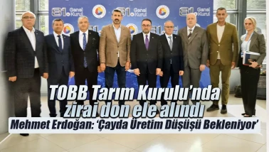 Zirai don Türkiye tarımında büyük kayıplara yol açtı, çözüm önerileri masaya yatırıldı