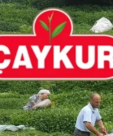 ÇAYKUR Mevsimlik İşçi Alımı Kura Sonuçları Açıklandı! Kura Sonuç Listesi