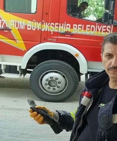 Karga yavrusu havalandırma boşluğunda mahsur kaldı, itfaiye ekipleri hızlıca kurtardı