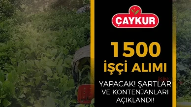 Çaykur 1500 mevsimlik işçi alacak