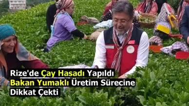 Rize'de Çay Hasadı Yapıldı: Bakan Yumaklı Üretim Sürecine Dikkat Çekti