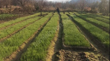 Erdek’te Yatırıma Uygun İmarlı Arazi – Sadece 2 Milyon TL!