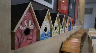 Özel öğrencilerden kuş evleri ve kedi yuvaları, Sakarya'da parklara dağıtıldı