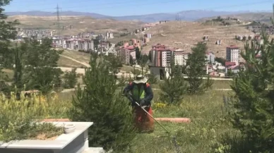 Bayburt Belediyesi Mezarlıklarda Ot Biçme Çalışmalarına Hız Verdi