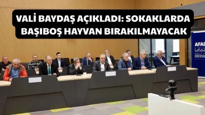Vali Baydaş açıkladı: Sokaklarda başıboş hayvan bırakılmayacak