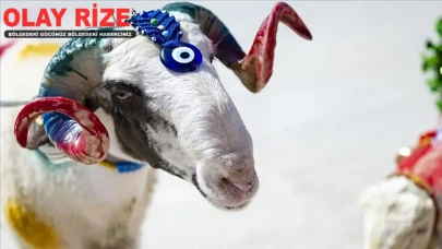 2025 Kurbanlık Fiyatları Belli Oldu!