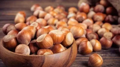 25 NİSAN FINDIK FİYATLARI | Ordu, Giresun, Sakarya, Samsun, Trabzon, Zonguldak, Kocaeli, Düzce serbest piyasa fındık fiyatları...