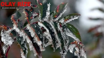 Türkiye'de 8 Nisan'da soğuk ve yağışlı hava, zirai don riski yaratacak!