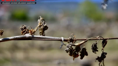 Zirai don olayına ilişkin Meclis Araştırma Komisyonu kurulması kararı Resmi Gazete'de